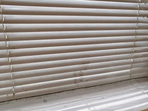 "Св. Георги"