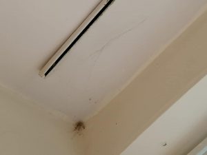 "Св. Георги"