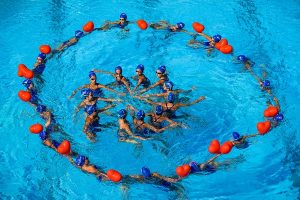 трансплантация