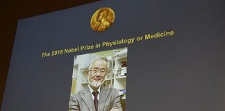 Нобелова награда