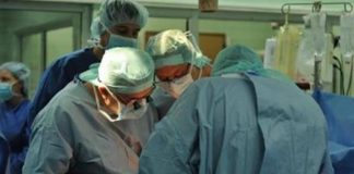 трансплантации