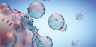 рак на панкреаса