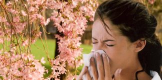 сенна хрема