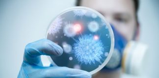 суперантибиотик