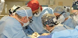 трансплантациите