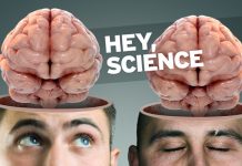 Една плацента и две кила мозък, моля! мозък