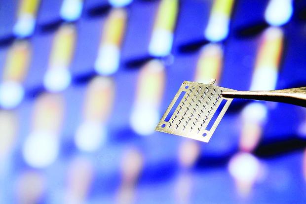 лепенка лепенка