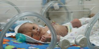 недоносени