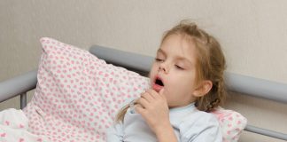 трета сливица