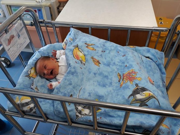 родилка родилка