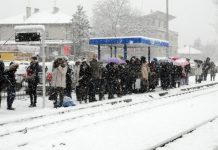 ГИТ: Шефовете да се грижат за здравето на служителите си ГИТ