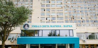 трансплантации