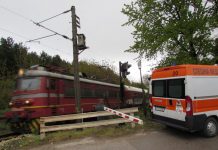 Линейка гони влак, за да спаси ухапана от змия линейка