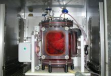 бели дробове