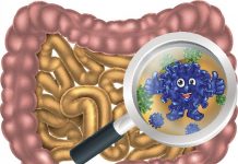 пробиотиците