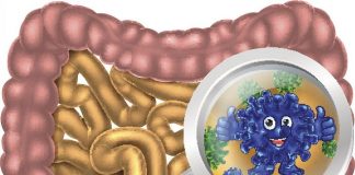 пробиотиците
