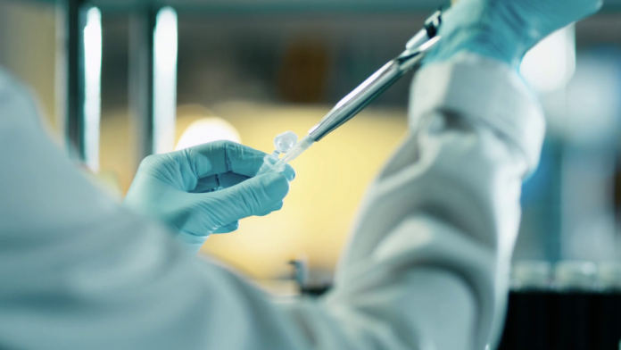 бактерия бактерия