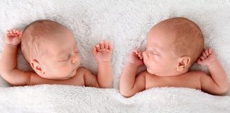 яйцеклетки