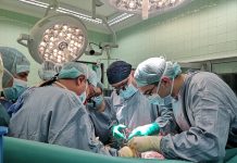 трансплантация