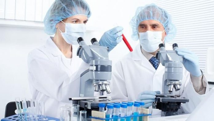 меланома меланома