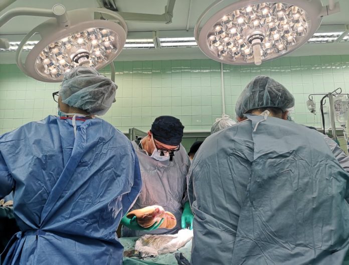 трансплантация