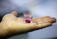 Показаха първото в света 3D-принтирано сърце сърце