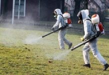 кърлежи и комари