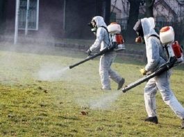 Две министерства търсят решение за комарите комарите