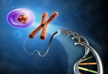 Пушенето не съкращава теломерите теломерите