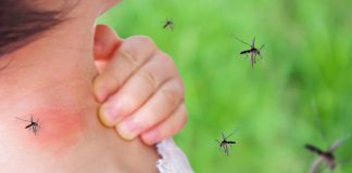 западнонилската треска