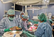 Проф. Владов