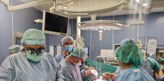 Проф. Владов