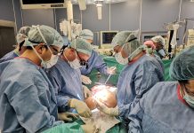 трансплантация