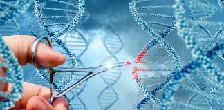 генна терапия