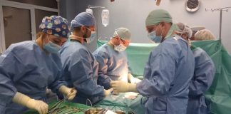 трансплантации