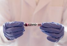 Правим серум срещу COVID-19 от антитела от заразени телета COVID-19