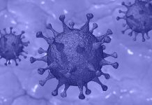 Инхалации с интерферон бета – пробив в битката с COVID-19 COVID-19