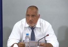 коронакризата