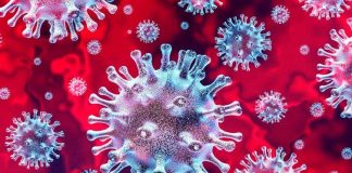 коронавирус