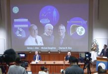 Нобелова награда