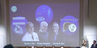 Нобелова награда