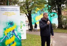 трансплантация