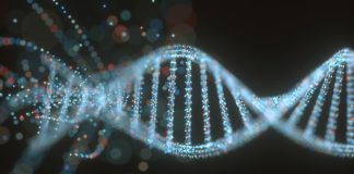 неандерталски ген