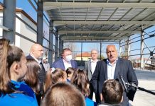 колективен имунитет