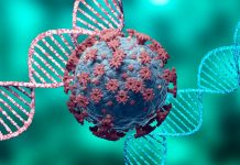 нов вариант