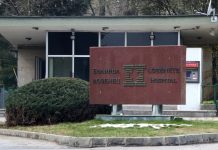 Д-р Радосвет Горнев поема „Лозенец“ Радосвет Горнев