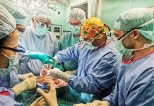 трансплантация