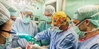 трансплантация