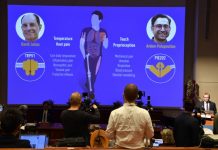 Нобелова награда