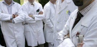 директорите